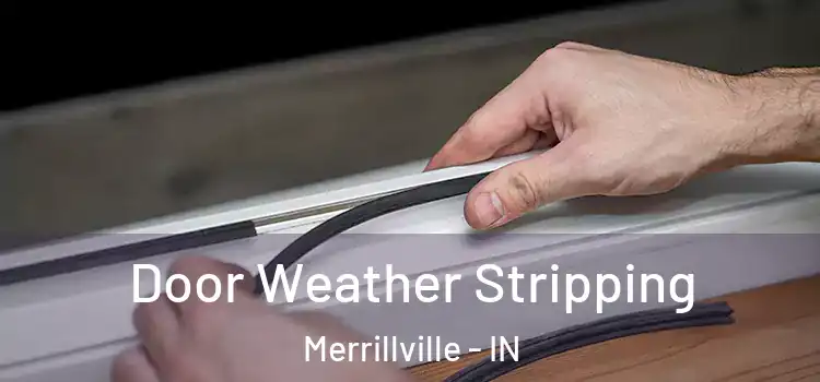 Door Weather Stripping Merrillville - IN