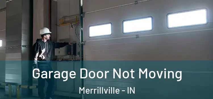  Garage Door Not Moving Merrillville - IN