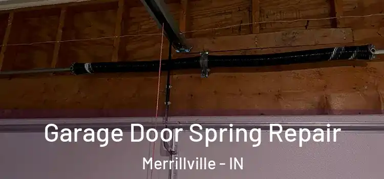 Garage Door Spring Repair Merrillville - IN