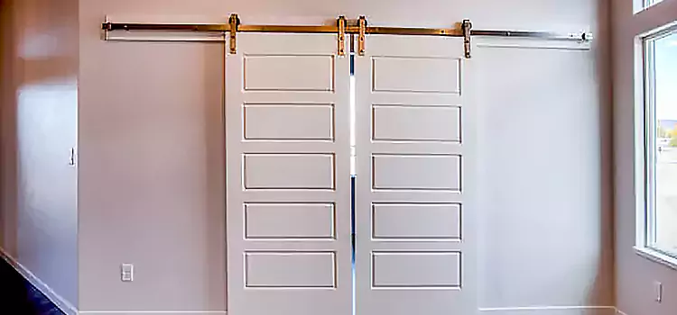 Glass Barn Door with Installation Hardware Kit Merrillville