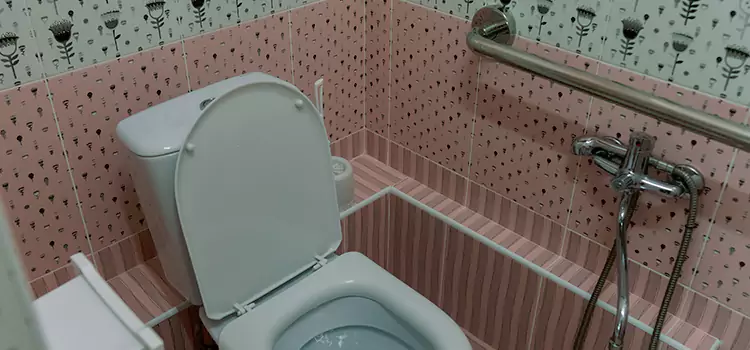 Meeting Diverse Needs With Accessible Restroom Solutions in Merrillville, IN
