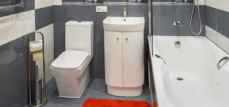 Hansgrohe Shaving Mirror Merrillville