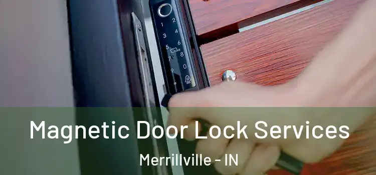 Magnetic Door Lock Services Merrillville - IN