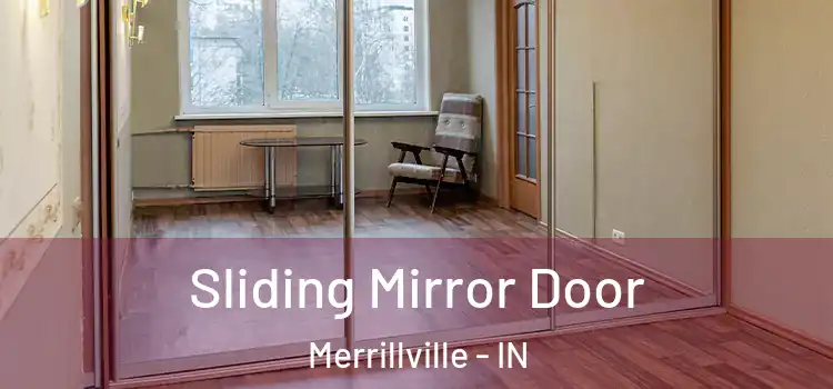  Sliding Mirror Door Merrillville - IN